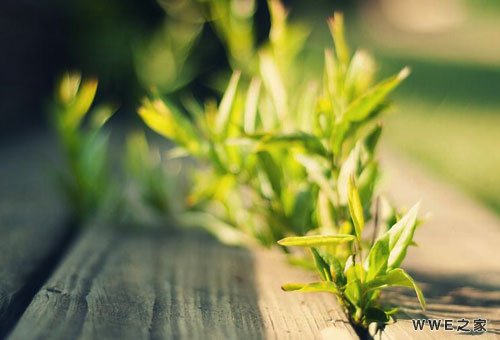 女生带允字的唯美小清新qq网名