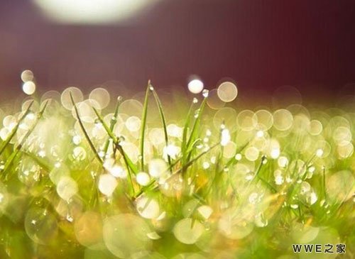 带有萱字的女生唯美qq网名