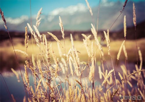 带有晗字的唯美qq网名