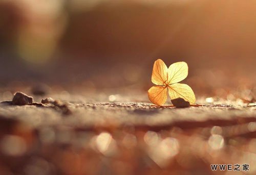 带幂字的女生唯美qq网名