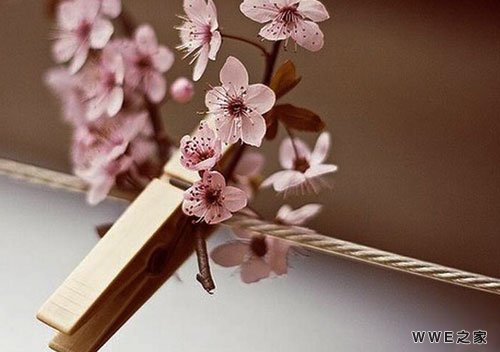 带颜字的古风四字qq网名