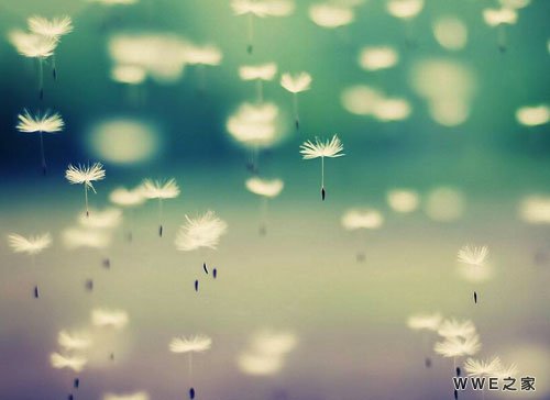 带非主流的霸气扣扣情侣网名