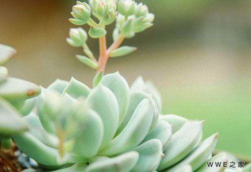 带珊字的好听qq情侣网名