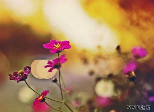 带尘字的古风五字网名