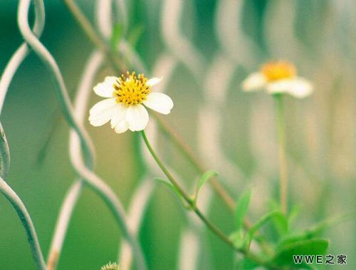 带寒字的古风五个字网名