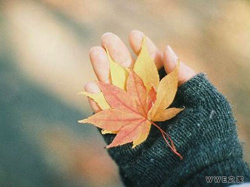 女生带凝的四字古风好听qq个性网名