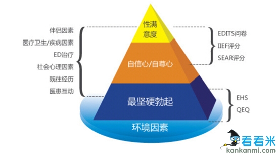 世界杯让男人渴望感性 而无视性感女色