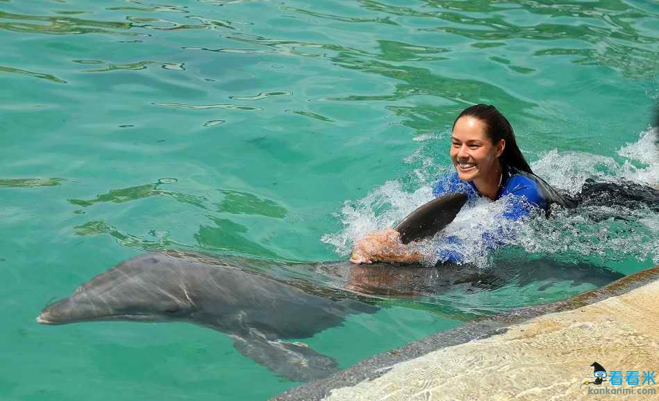 伊万迈阿密逗海豚 网坛美女与海中萌物湿身畅泳/图