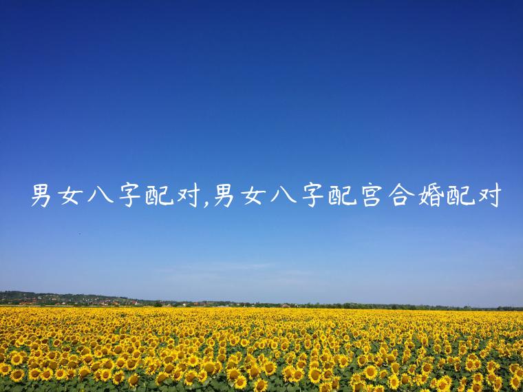男女八字配对,男女八字配宫合婚配对