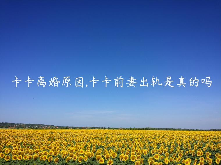 卡卡离婚原因,卡卡前妻出轨是真的吗